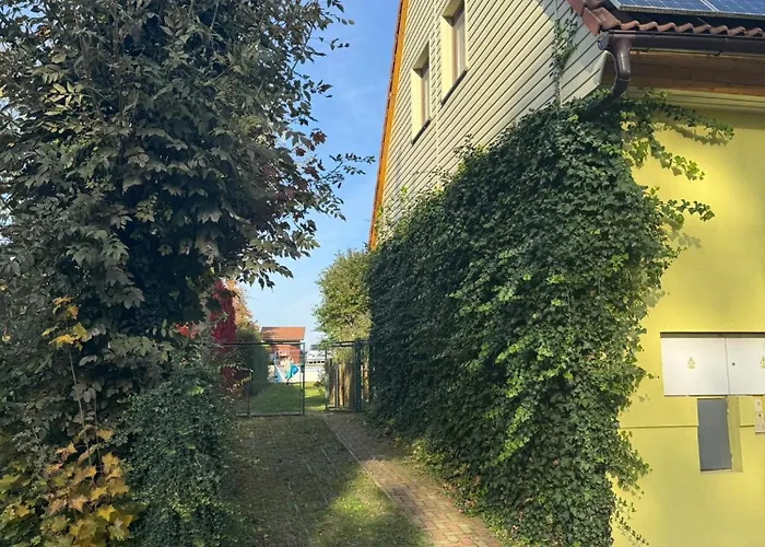 Lochkov 53